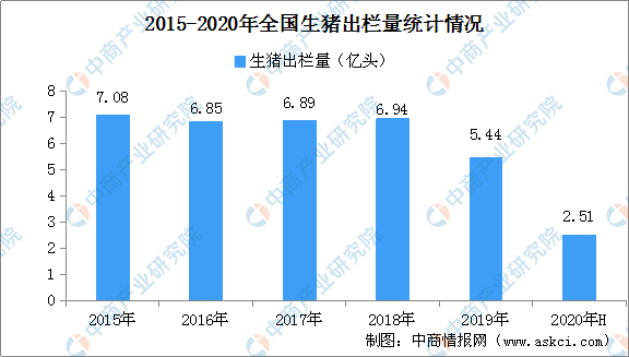 广东今日生猪价格概览，最新分析与展望