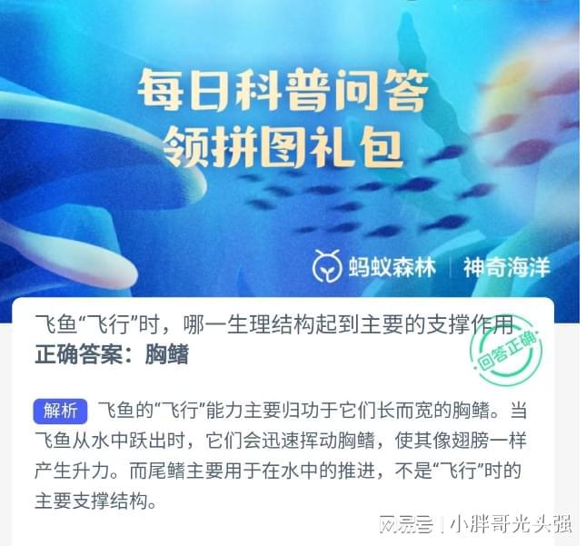 翱翔知识海洋，最新纯禽记者成长启示与往年11月17日章节回顾