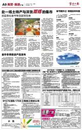 宁波时事速递，最新新闻一览（11月17日）