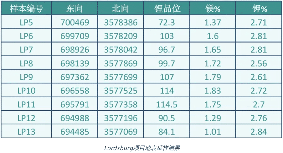 甘孜锂矿复工最新动态，历史深处的巷弄小店新篇章与独特环境魅力的探寻