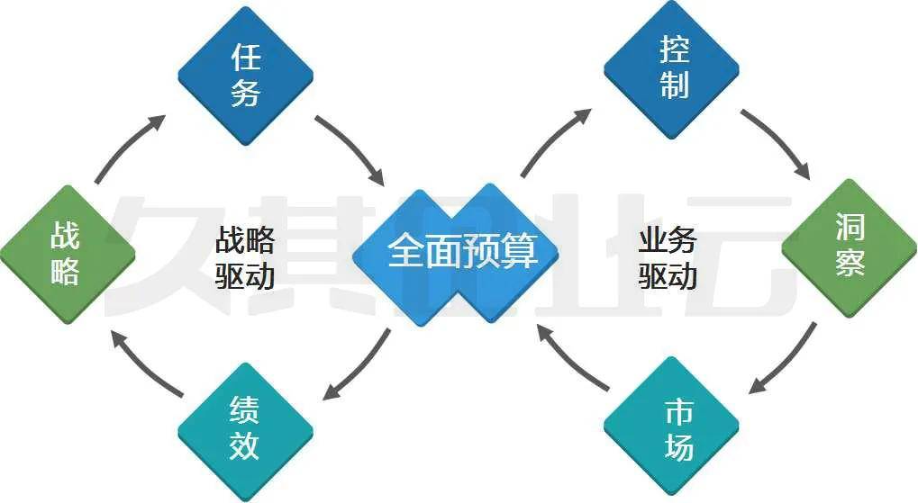 11月解禁最新消息产品全面评测与介绍