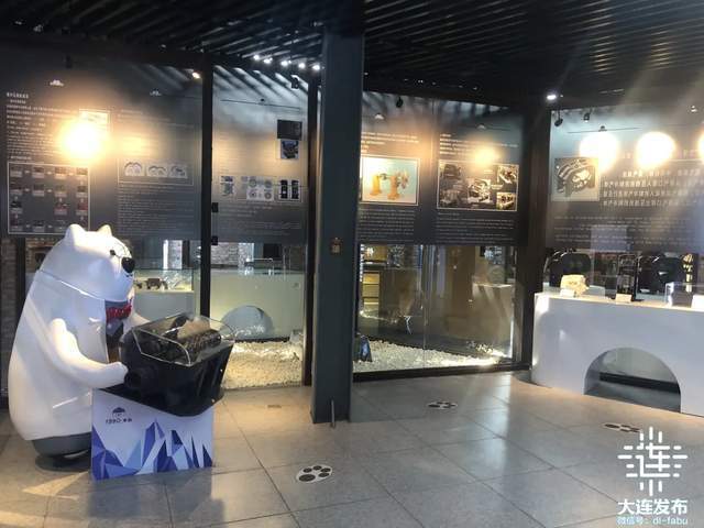 汤姆最新产品深度评测与用户体验报告，11月新品解析