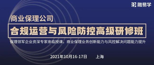 林传伟新品系列评测，全面解读产品特性与体验，11月新品重磅来袭！