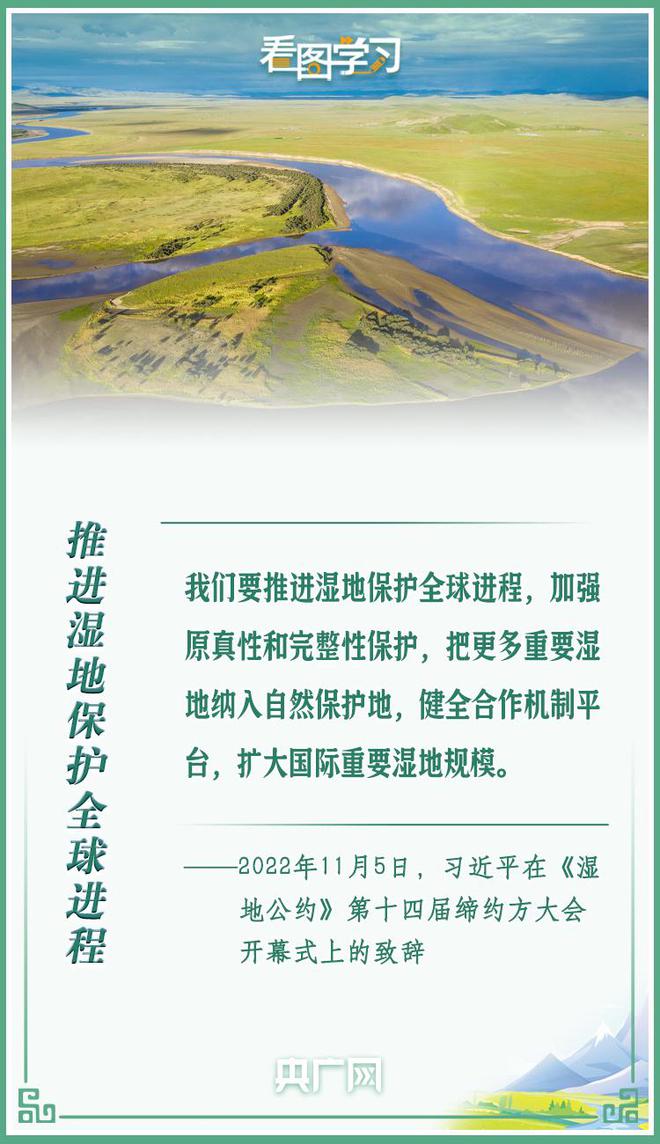 全球疫情最新动态，自然美景呼唤，启程内心宁静与平和之旅