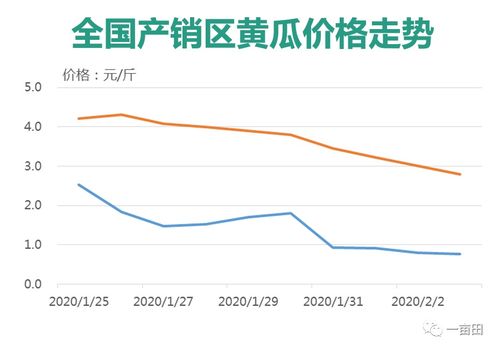 疫情下的彩虹桥，日常温馨故事在递减的疫情中展开