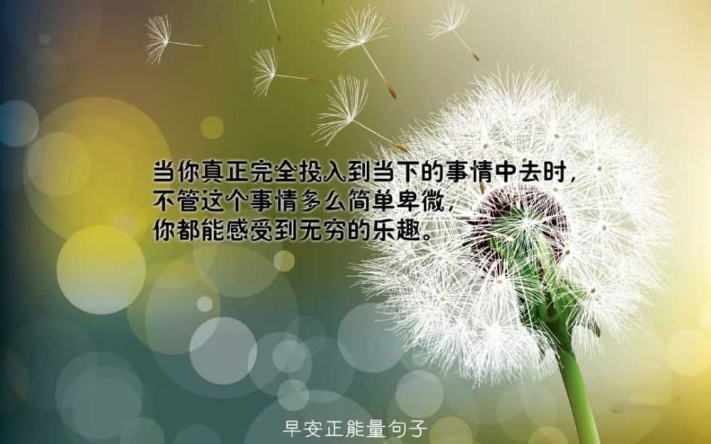 温馨阳光下的奇妙一天，早安图片大全与故事分享