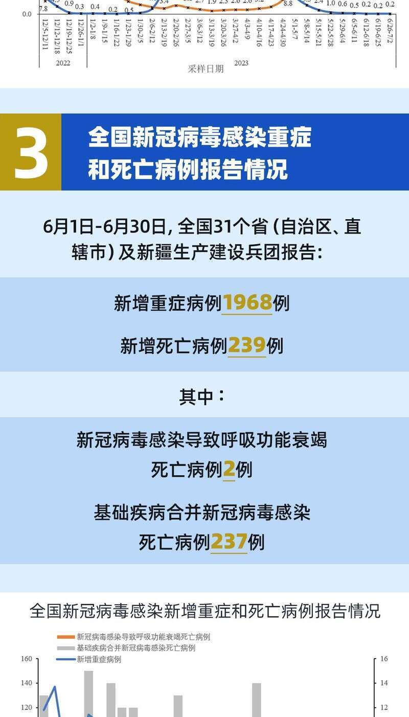 11月6日欧卡最新版深度解析，优势与挑战一览