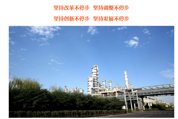 澳超赛场动态速递，聚焦最新资讯，掌握赛事动态