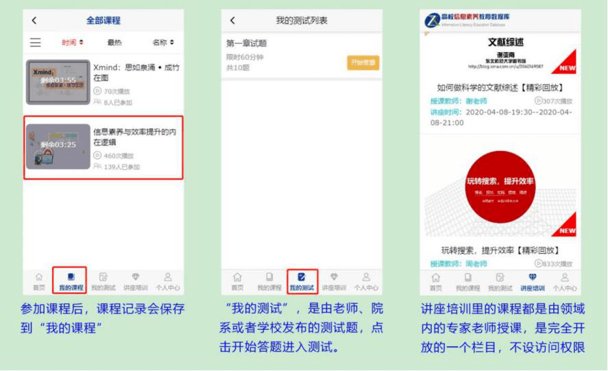 梁某妍最新动态深度解析，聚焦要点探讨11月6日最新动态