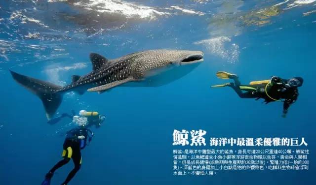2024年11月10日 第34页