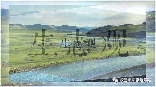 2024年11月30日 第25页