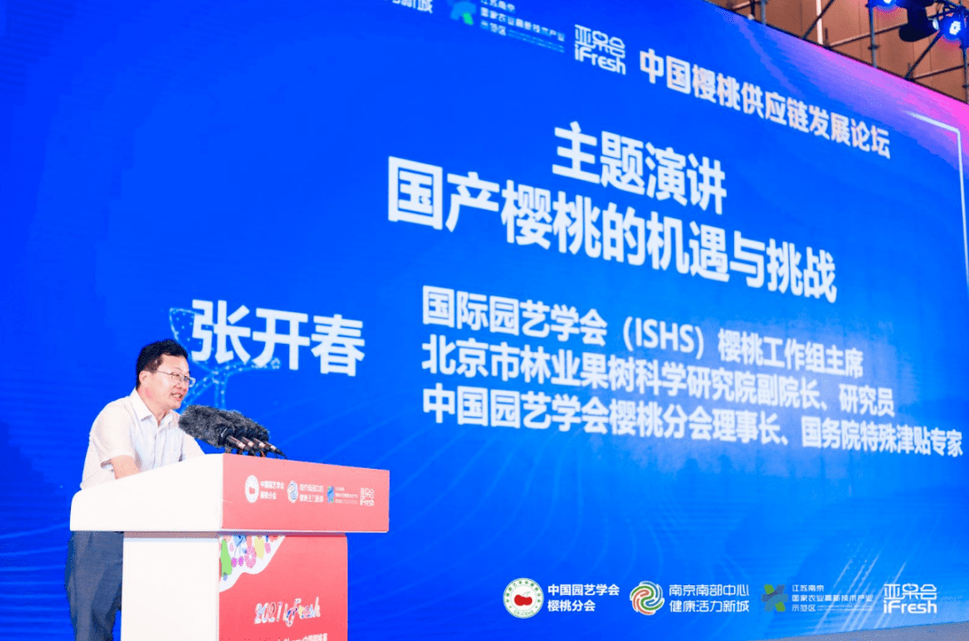 政令通畅，构建高效政府执行力之道