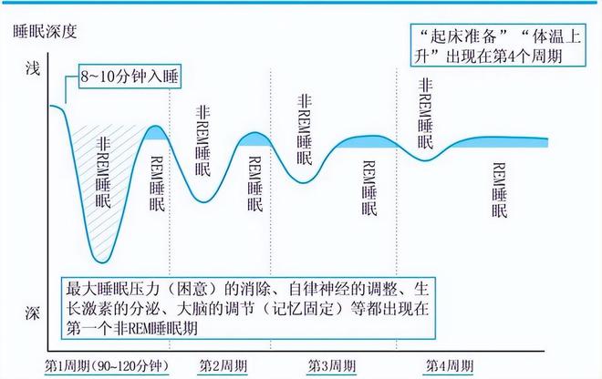 高效睡眠指南，优化你的睡眠质量与效率提升秘籍