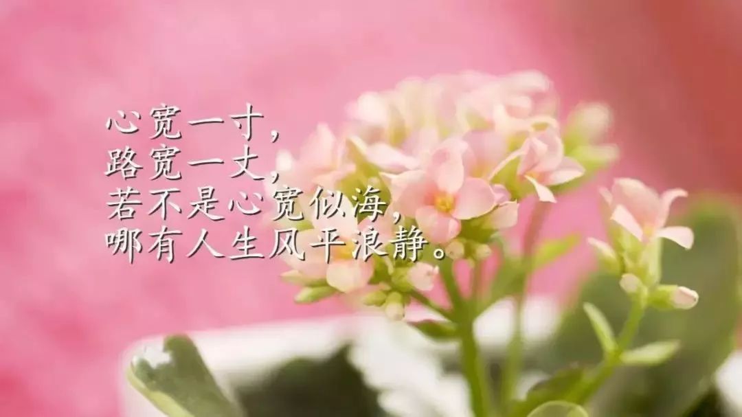 励志青春语录，唤醒梦想的短句