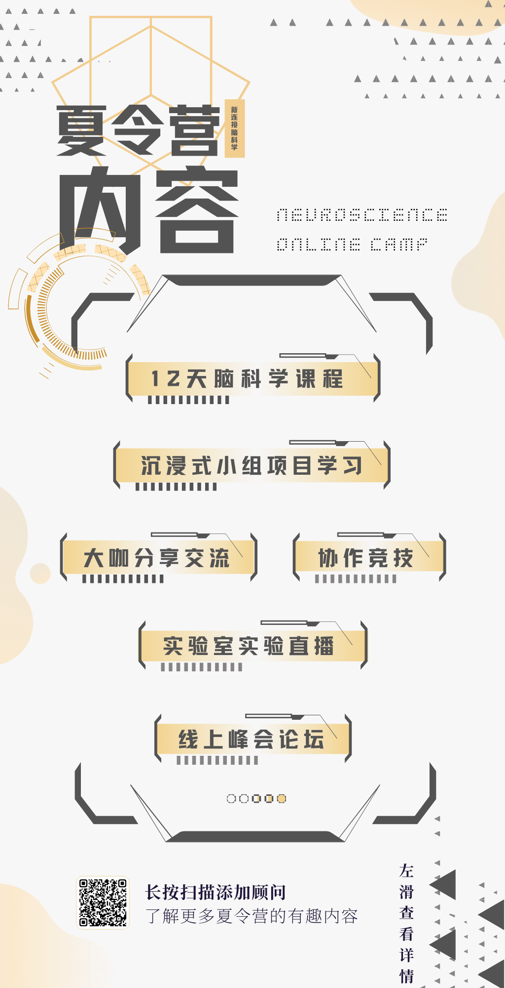 揭秘心智奥秘，大脑高效运作的秘密探索
