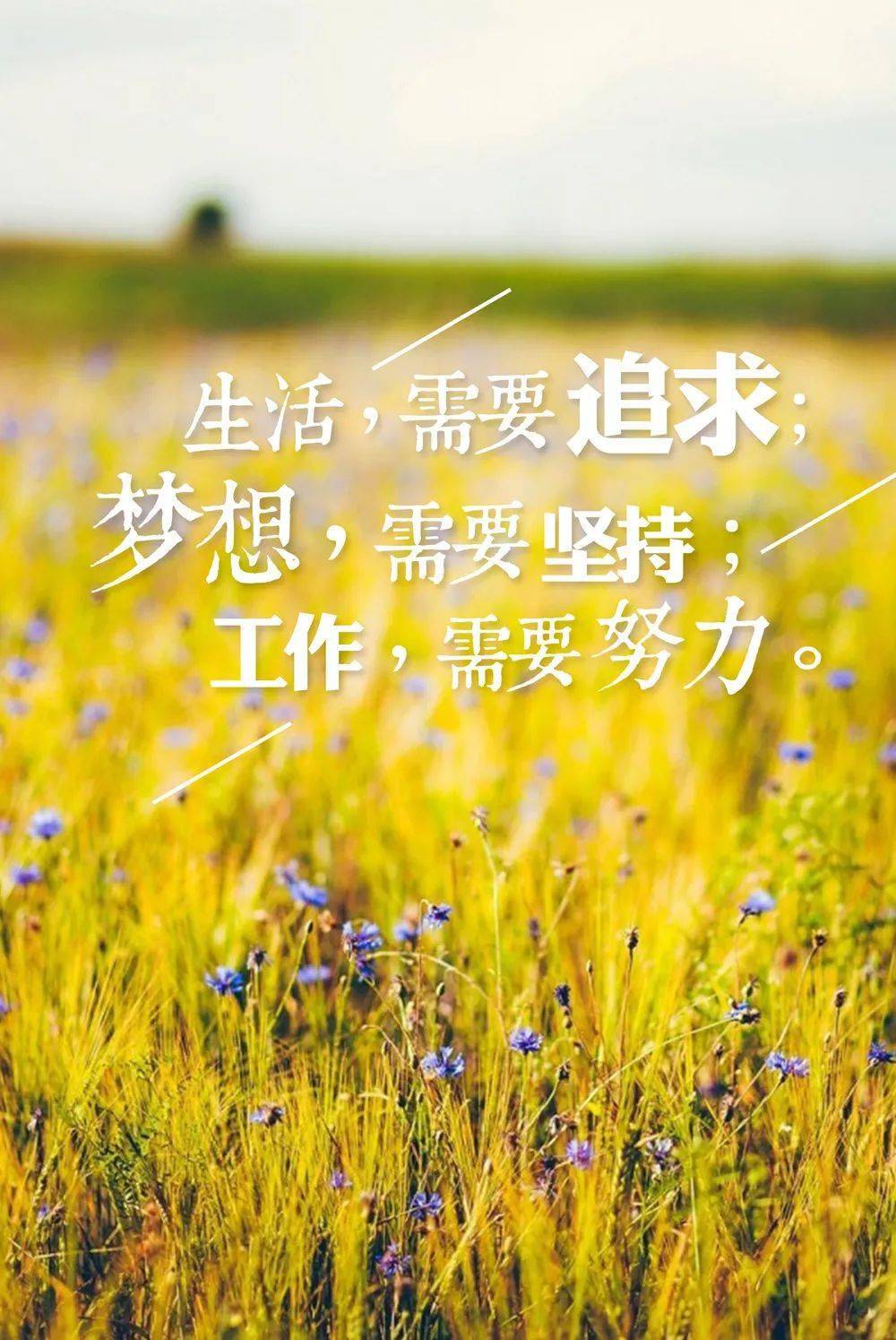 励志视频语录，善良之光，照亮心灵深处