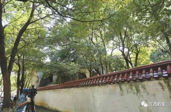 柴桑今日最新动态揭秘，不容错过的最新消息！