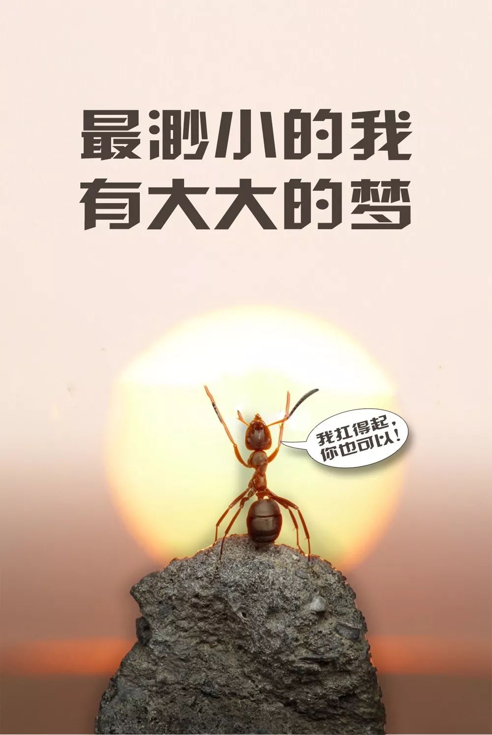 高中励志语录，激励前行的优美句子