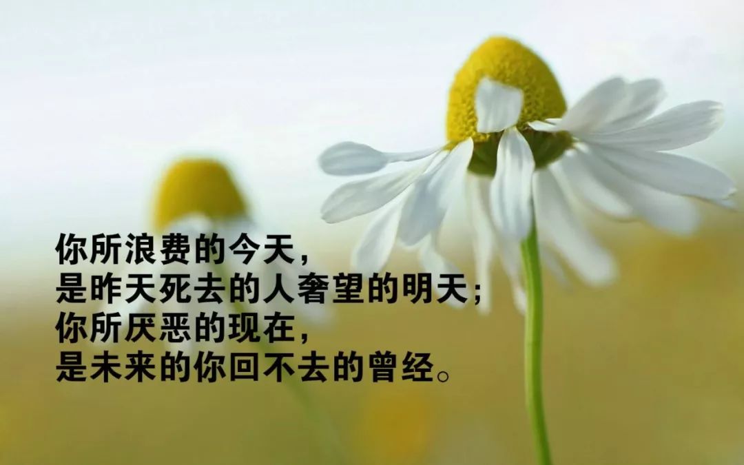 励志语录短句精选，激励你前行！